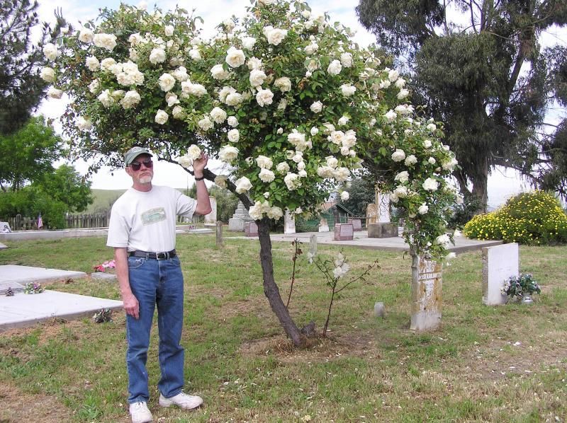 Jesse Hildreth 2006 photo P1010108SML_zps5b98810c.jpg